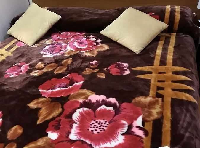 Gasthuis Cappellini S.n.c. *